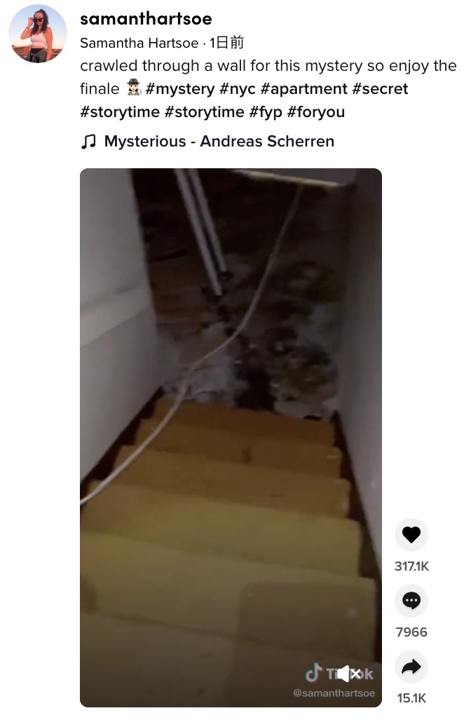 謎の部屋は長い間誰も住んでいない様子だった（画像は『Samantha Hartsoe　2021年3月3日付TikTok「crawled through a wall for this mystery so enjoy the finale」』のスクリーンショット）