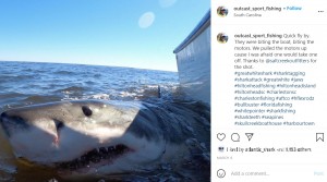ボートの周りを泳ぎまわるホホジロザメ（画像は『Capt. Chip Michalove　2021年3月8日付Instagram「Quick fly by.」』のスクリーンショット）