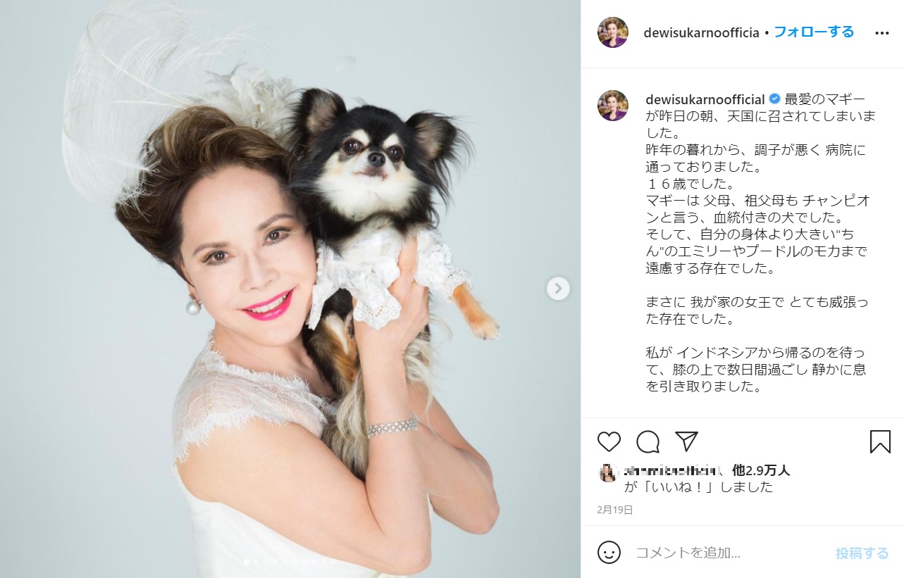 愛犬の旅立ちを報告したデヴィ夫人（画像は『デヴィ夫人（dewisukarno）　2021年2月19日付Instagram「最愛のマギーが昨日の朝、天国に召されてしまいました。」』のスクリーンショット）