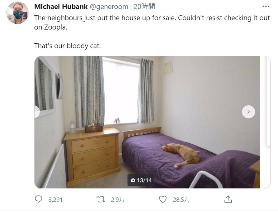 隣家の写真に見覚えのある猫が…（画像は『Michael Hubank　2021年3月28日付Twitter「The neighbours just put the house up for sale.」』のスクリーンショット）
