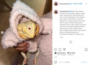 両目の間にはLil Uzi Vertもビックリのジュエリーが！（画像は『Kim Kardashian West　2021年3月3日付Instagram「Meet the newest member of our family...Speed.」』のスクリーンショット）