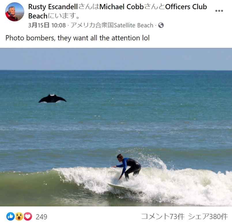 サーファーの後ろでジャンプした大きなオニイトマキエイ（画像は『Rusty Escandell　2021年3月15日付Facebook「Photo bombers, they want all the attention lol」』のスクリーンショット）