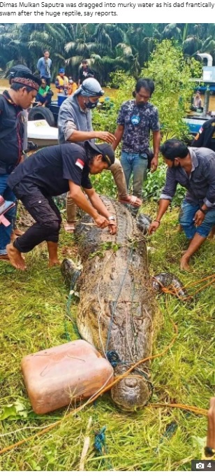 捕獲された体長6メートルのワニ（画像は『The Sun　2021年3月5日付「JAWS OF DEATH Moment body of boy, 8, is cut from croc’s stomach after 26ft beast swallowed him as dad desperately tried to save son」（Credit: ViralPress）』のスクリーンショット）