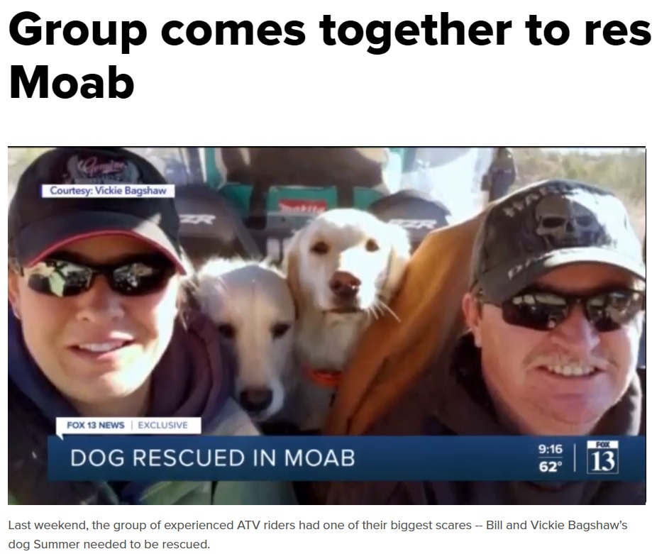 アウトドアに出掛けるのが大好きなゴールデン・レトリバーの“サマー”と“ウィンター”（画像は『fox13now.com　2021年3月29日付「Group comes together to rescue dog in Moab」』のスクリーンショット）