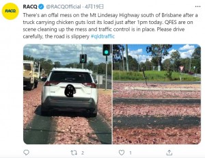 反対車線まで散乱した鶏の内臓（画像は『RACQ　2021年4月19日付Twitter「There’s an offal mess on the Mt Lindesay Highway south of Brisbane after a truck carrying chicken guts lost its load just after 1pm today.」』のスクリーンショット）