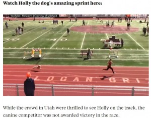 ホーリーは3人の選手を追い抜くと、グレイシーさんを猛追（画像は『Insider　2021年4月23日付「A very speedy dog snuck into a high school relay race and ran the final 100m almost as fast as an Olympic sprinter」』のスクリーンショット）