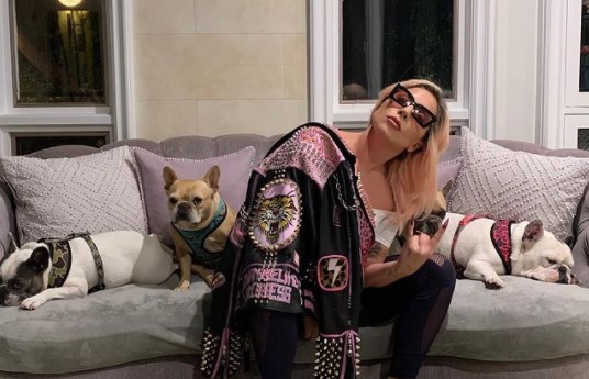 レディー・ガガと愛犬達（画像は『Lady Gaga　2021年3月14日付Instagram「So I talked to some doctors and scientists.」』のスクリーンショット）