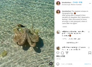 【海外発！Breaking News】怒ったタコに襲われた男性　首にミミズ腫れが残るほどの威力に恐怖（豪）＜動画あり＞