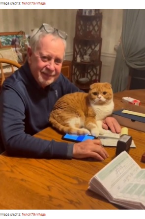 スイート・ポテトがいつもそばにやってくる（画像は『Bored Panda　2021年4月14日付「Cat Refuses To Leave The Side Of His Grandpa Who’s Fighting Cancer」（Image credits: french75vintage）』のスクリーンショット）