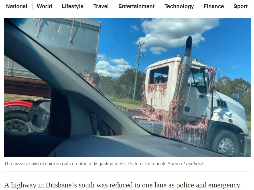 事故の衝撃で運転席部分にも内臓が降りかかる（画像は『news.com.au　2021年4月19日付「Qld highway down to one lane after disgusting spill of chicken guts」（Picture: Facebook Source:Facebook）』のスクリーンショット）