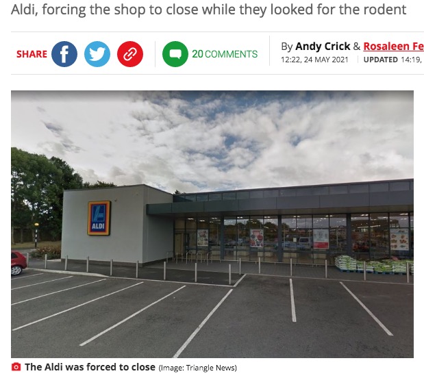 ネズミのせいでスーパーが一時閉店する騒ぎに（画像は『Mirror　2021年5月24日付「Woman ‘dies of shame’ after mouse escapes from her handbag while shopping at Aldi」（Image: Triangle News）』のスクリーンショット）