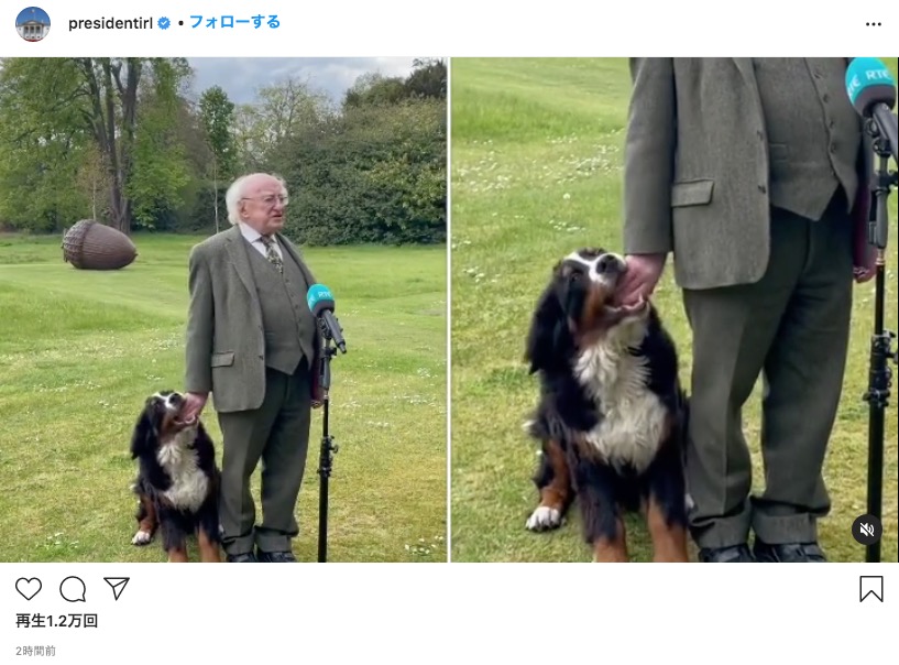 大統領会見中に犬が甘噛み（画像は『President Michael D. Higgins　2021年5月3日付Instagram「Behind the scenes at Áras an Uachtaráin.」』のスクリーンショット）
