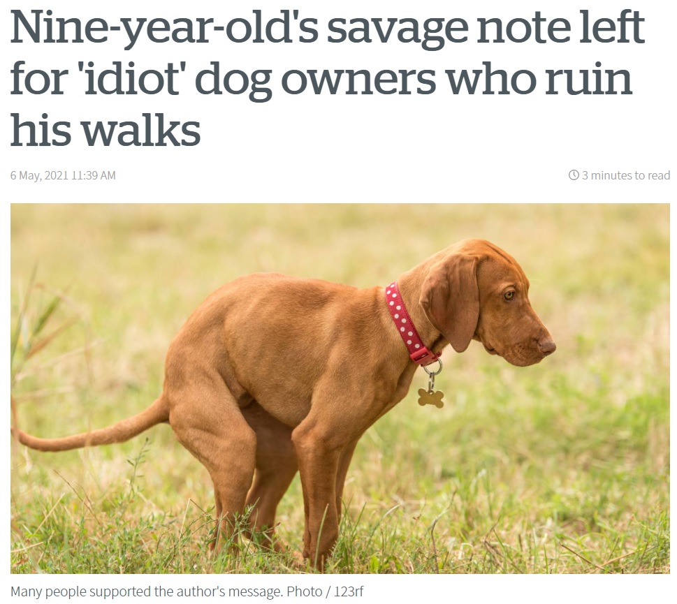 犬の糞の始末は飼い主のマナーだが…（画像は『NZ Herald　2021年5月6日付「Nine-year-old’s savage note left for ‘idiot’ dog owners who ruin his walks」（Photo / 123rf）』のスクリーンショット）