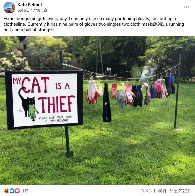 「うちの猫は泥棒です」の看板を立てた飼い主（画像は『Kate Felmet　2021年5月5日付Facebook「Esme  brings me gifts every day.」』のスクリーンショット）