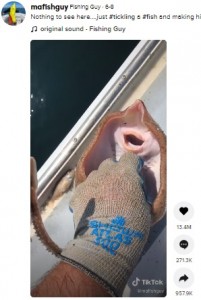 口を開けてあえいでいる？（画像は『Fishing Guy　2021年6月8日付TikTok「Nothing to see here...」』のスクリーンショット）