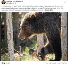 【海外発！Breaking News】「友情が壊れていても友人を犠牲にしないで」　クマと遭遇した時の対処法に笑いの声（米）