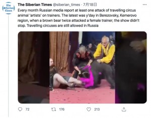 女性調教師に突然襲いかかったクマ（画像は『The Siberian Times　2021年7月18日付Twitter「Every month Russian media report at least one attack of travelling circus animal ‘artists’ on trainers.」』のスクリーンショット）