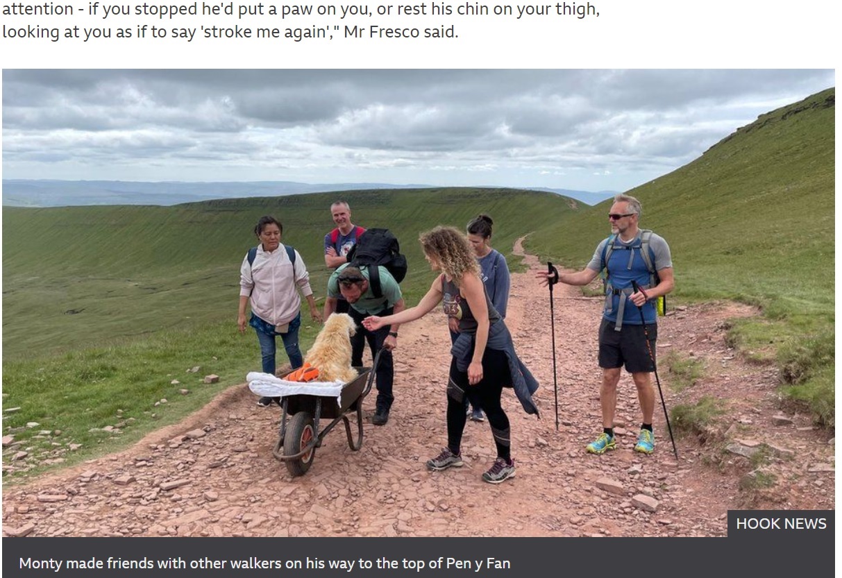 多くの人がカルロスさんとモンティの最後の旅を手伝ってくれた（画像は『BBC　2021年7月8日付「Sick dog takes final walk in wheelbarrow」（HOOK NEWS）』のスクリーンショット）