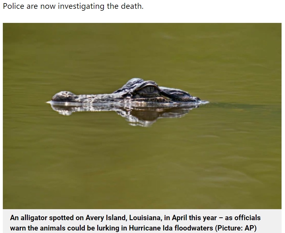 ワニは同地域で頻繁に出没していた（画像は『Metro　2021年8月31日付「Man feared dead after alligator lurking in Hurricane Ida floodwaters attacked him」（Picture: AP）』のスクリーンショット）