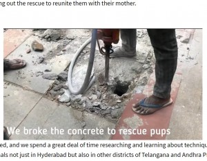 コンクリートを破壊し子犬の救助を開始（画像は『Times Now　2021年8月19日付「Hyderabad animal activist group rescues 5 puppies trapped in manhole in 10-hour operation ［WATCH］」』のスクリーンショット）