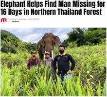 【海外発！Breaking News】ゾウの嗅覚は犬より鋭い　森で16日間行方不明だった男性をゾウが発見（タイ）＜動画あり＞