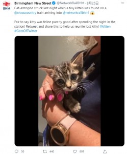 幸いにもケガはなく健康な状態だった（画像は『Birmingham New Street　2021年8月25日付Twitter「Cat-astrophe struck last night when a tiny kitten was found on a ＠crosscountry train arriving into ＠networkrailbhm!」』のスクリーンショット）