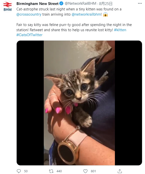 幸いにもケガはなく健康な状態だった（画像は『Birmingham New Street　2021年8月25日付Twitter「Cat-astrophe struck last night when a tiny kitten was found on a ＠crosscountry train arriving into ＠networkrailbhm!」』のスクリーンショット）