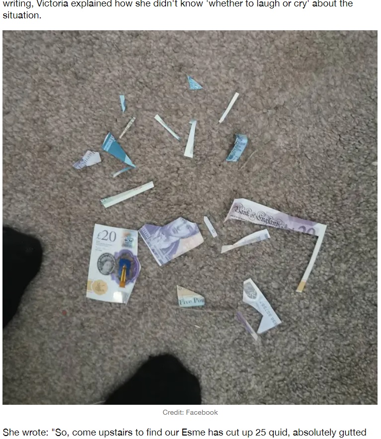 娘によって細かく刻まれてしまったお札（画像は『LADbible　2021年8月25日付「Mum Left In Hysterics After Daughter Cuts Up Banknotes To Use Queen’s Face On Dolls」（Credit: Facebook）』のスクリーンショット）