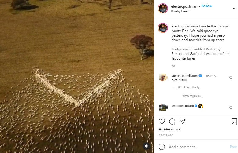 ハート型を作る羊の群れ（画像は『Benjamin Jackson　2021年8月24日付Instagram「I made this for my Aunty Deb.」』のスクリーンショット）