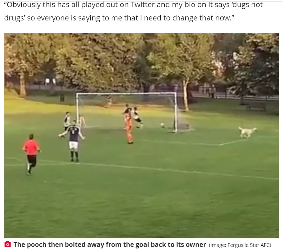 ゴールそばでスーパーセーブを決めてしまった犬（画像は『Daily Record　2021年8月27日付「Scots footballer ‘hanging up his boots’ after goal blocked by runaway dog - who has been offered job」（Image: Ferguslie Star AFC）』のスクリーンショット）