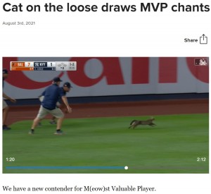【海外発！Breaking News】ヤンキー・スタジアムを猫が大激走　ファンは「MVPだ！」と試合そっちのけで大盛り上がり（米）＜動画あり＞