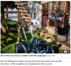 巨大ジャングルジムで遊ぶ猫（画像は『The Sun　2021年9月25日付「CAT FIGHT Cat-loving couple who built massive ￡1,500 jungle gym for their beloved pets fear it will be torn DOWN after complaints」（Credit: SWNS）』のスクリーンショット）