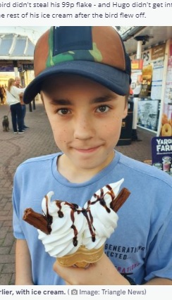 ソフトクリームを買った直後のヒューゴ君（画像は『The　Mirror　2021年9月24日付「Incredible photo by mum catches moment seagull divebombs son, 11, as he enjoys ice cream」（Image: Triangle News）』のスクリーンショット）