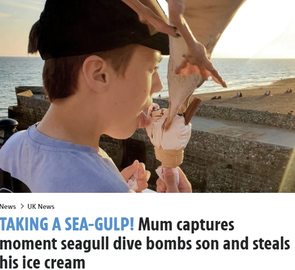 ヒューゴ君の顔のすぐそばに迫るカモメ（画像は『The　Sun　2021年9月24日付「TAKING A SEA-GULP! Mum captures moment seagull dive bombs son and steals his ice cream」（Credit: Triangle News）』のスクリーンショット）