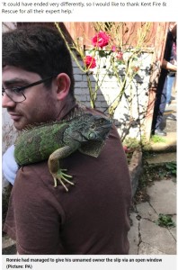 イグアナは無事に飼い主のもとに（画像は『Metro　2021年9月28日付「Runaway iguana rescued from pub after scaling roof for a sunbathing session」（Picture: PA）』のスクリーンショット）