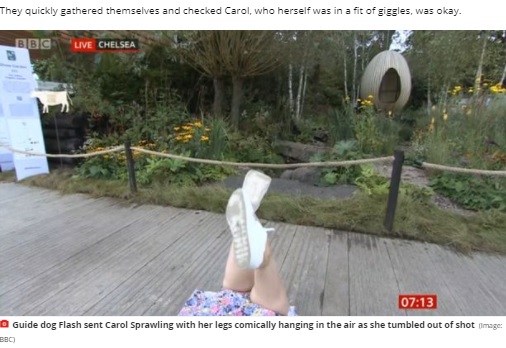 カメラに映し出されたのはキャロルさんの脚（画像は『MyLondon　2021年9月20日付「BBC Breakfast’s Carol Kirkwood dragged to floor by excited dog live on air」（Image: BBC）』のスクリーンショット）