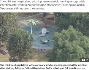 【海外発！Breaking News】公園の水遊び場で男児が「脳を食うアメーバ」に感染し死亡（米）