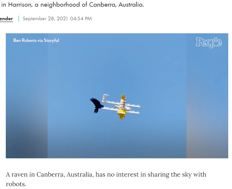ドローンを敵と勘違いし攻撃するカラス（画像は『People.com　2021年9月28日付「‘Territorial’ Raven's Attack on Delivery Drone Caught on Camera in Australia」』のスクリーンショット）