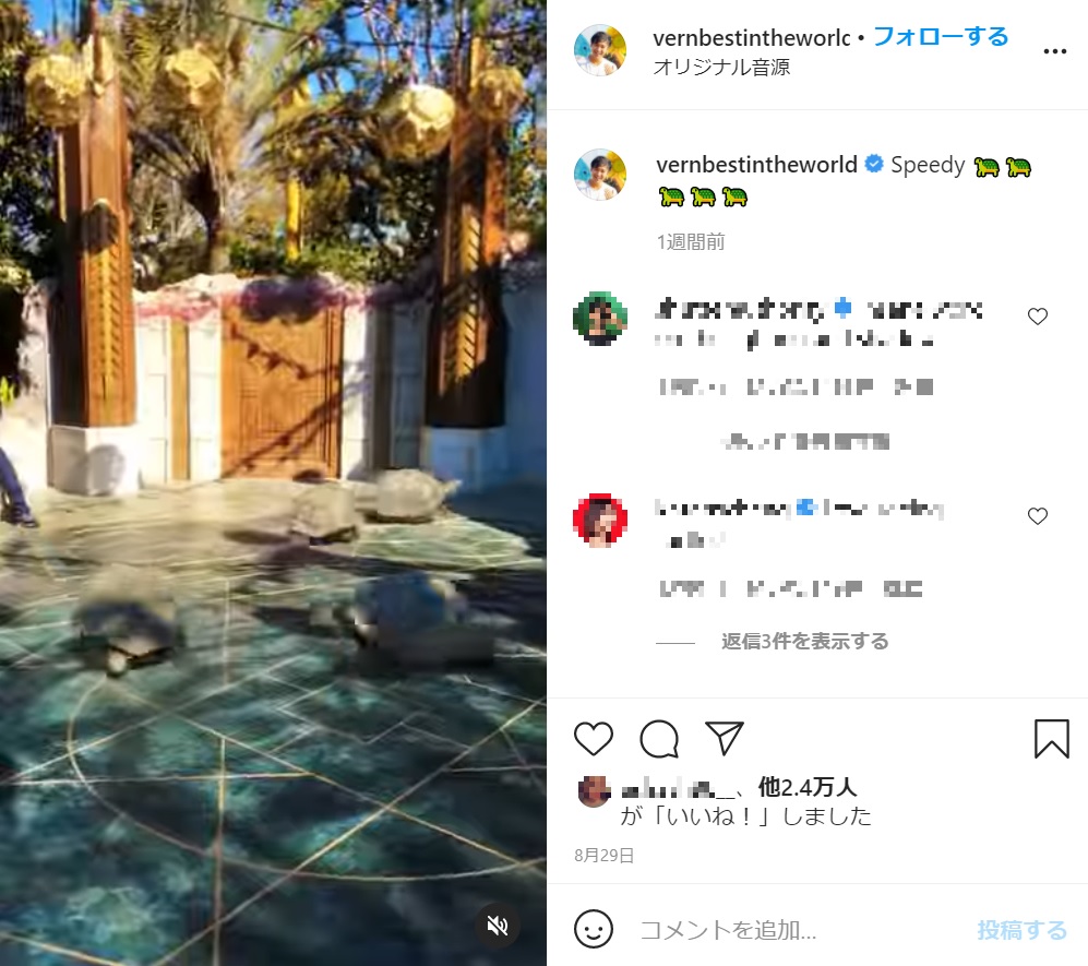 妙にリアルな猛スピードで走るカメたち（画像は『Vernon James Manlapaz　2021年8月29日付Instagram「Speedy」』のスクリーンショット）