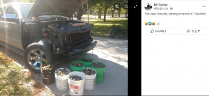 車から出てきたのはバケツ7杯分のクルミ（画像は『Bill Fischer　2021年9月27日付Facebook「This year’s bounty, setting a record of 7 buckets!」』のスクリーンショット）