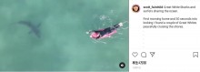 【海外発！Breaking News】サーフィンをする親子に接近するホホジロザメの姿をドローンが捉える（米）＜動画あり＞