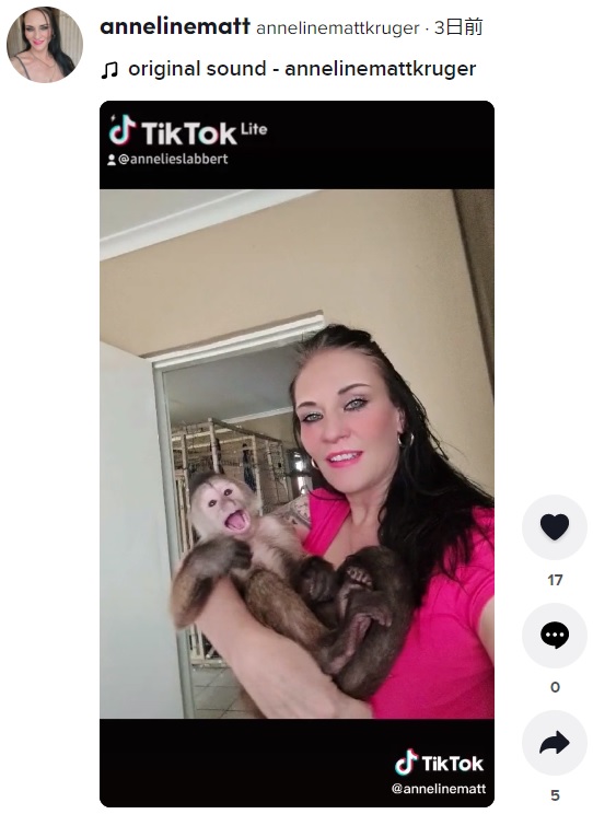 サルも飼われているもよう（画像は『annelinemattkruger　2021年10月3日付TikTok』のスクリーンショット）