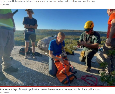 レスキュー用バッグに入ったライザ（画像は『New York Post　2021年10月14日付「Dog rescued from crevice in upstate New York after five days without food, water」（NYS Parks）』のスクリーンショット）