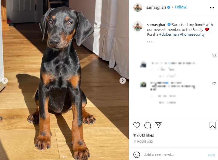 お座りをするドーベルマンの子犬“ポルシャ”（画像は『Sam Asghari　2021年10月8日付Instagram「Surprised my fiancé with our newest member to the Family」』のスクリーンショット）