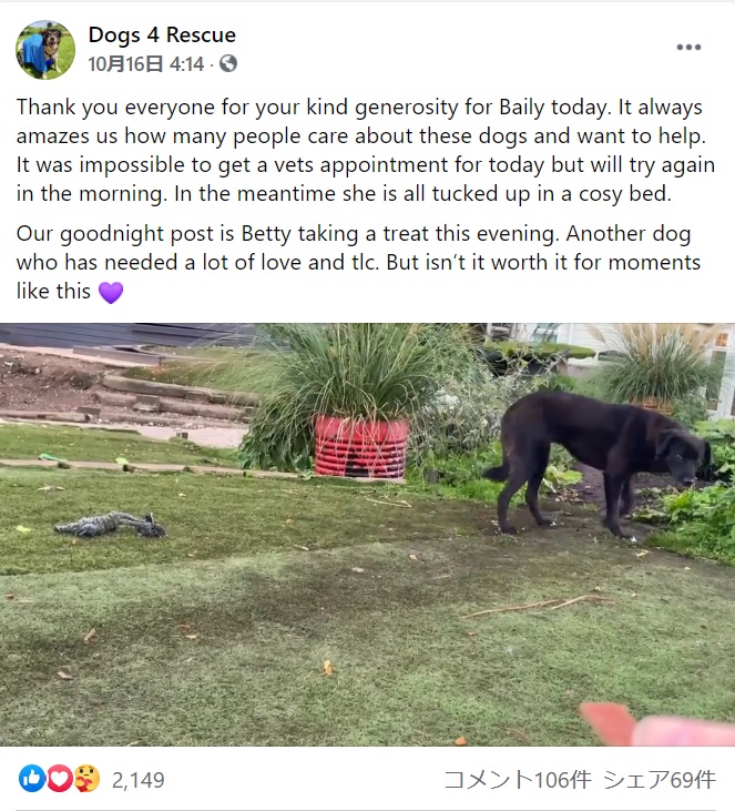 スタッフに近寄るのがまだ怖い様子（画像は『Dogs 4 Rescue　2021年10月16日付Facebook「Thank you everyone for your kind generosity for Baily today.」』のスクリーンショット）