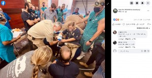 シロサイに麻酔をかけるスタッフたち（画像は『Care For Wild Rhino Sanctuary　2021年10月21日付Instagram「FIRST EVER CT SCAN ON A LIVE ADULT RHINO IN SOUTH AFRICA!」』のスクリーンショット）