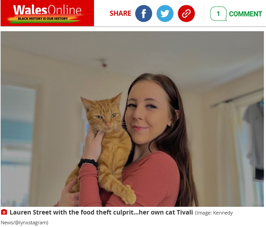 誰かのいたずらだと思っていたローレンさんと愛猫のティヴァリ（画像は『WalesOnline　2021年10月13日付「Couple confused by empty pet treats outside home capture moggy trying to sneak stolen packet through window」（Image: Kennedy News/＠lynxstagram）』のスクリーンショット）