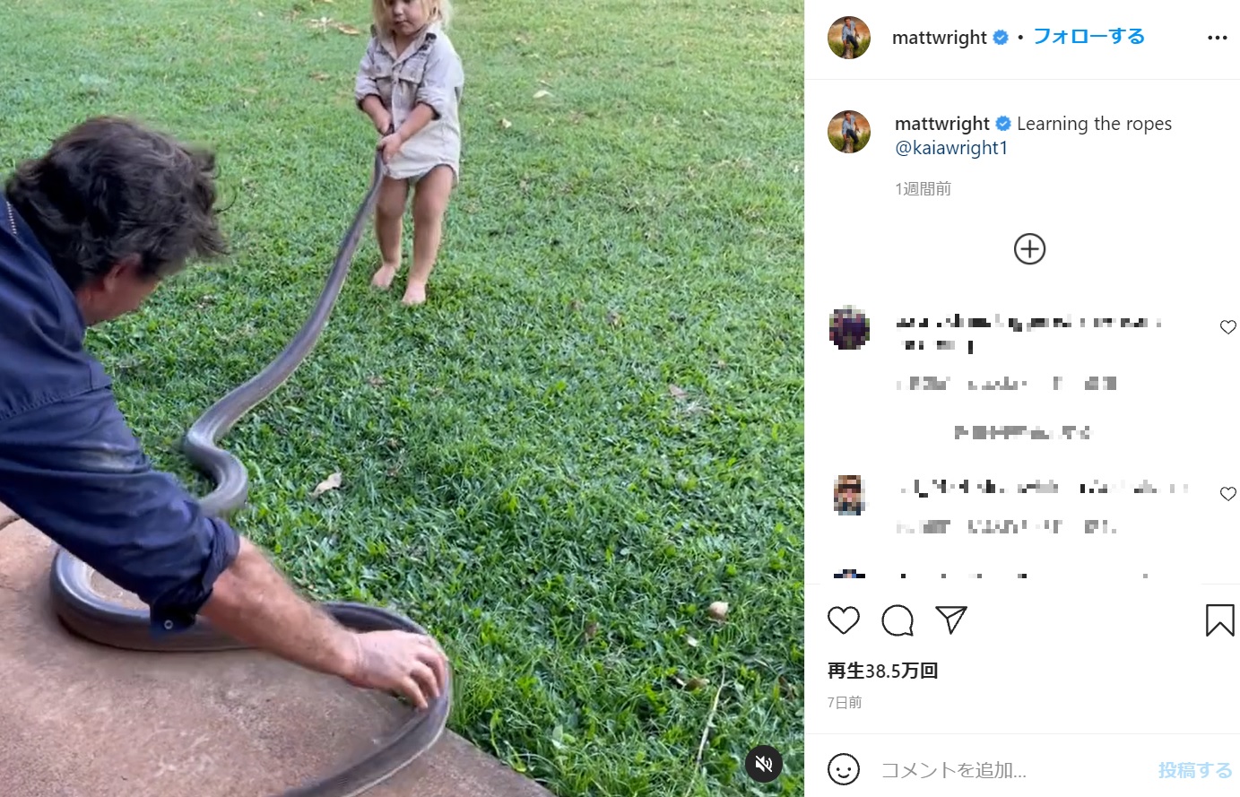父親のマットさんが見守るものの、危険な状況に疑問を抱く人が相次ぐ（画像は『MATT WRIGHT - OUTBACK WRANGLER　2021年10月1日付Instagram「Learning the ropes」』のスクリーンショット）