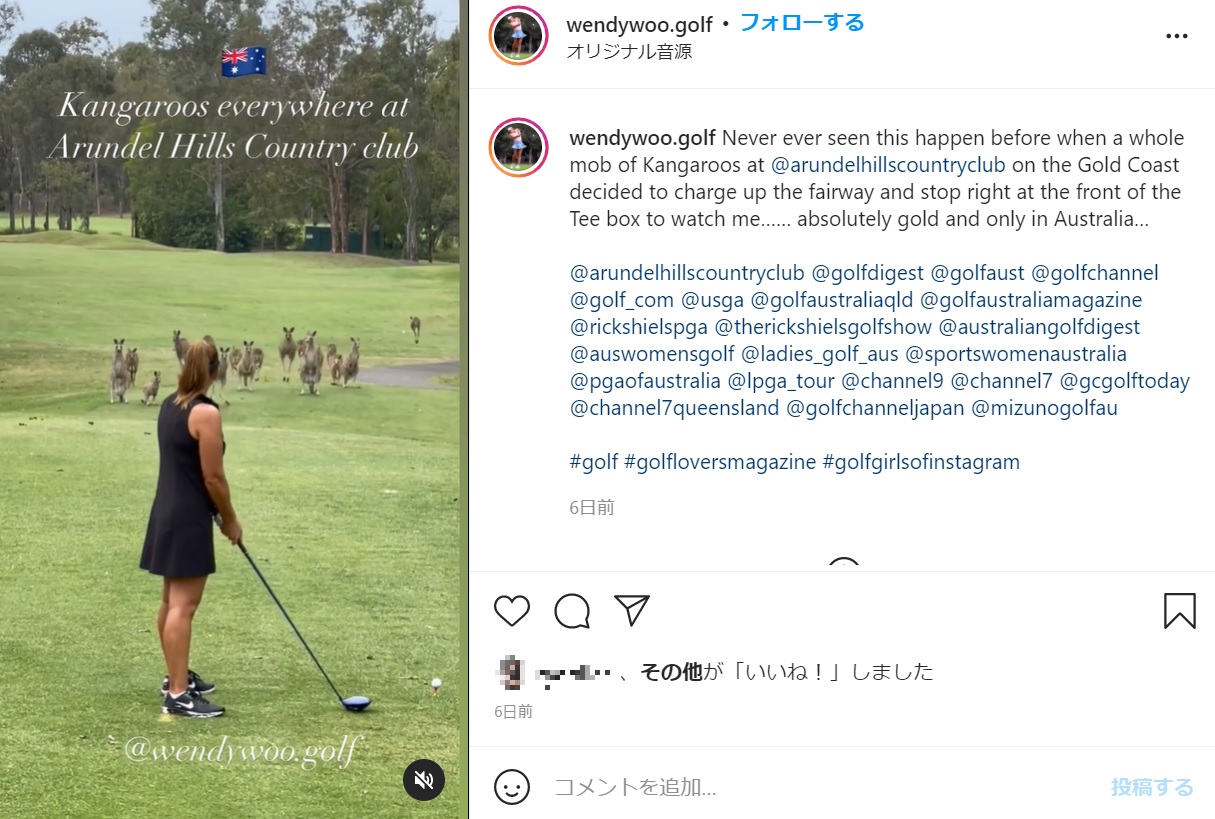 ジャンプしながらウェンディさんに近づいてきたカンガルーたち（画像は『Wendy Powick　2021年10月25日付Instagram「Never ever seen this happen before when a whole mob of Kangaroos」』のスクリーンショット）