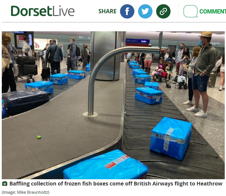 バゲージクレームには冷凍の魚が入った大量の青い箱が（画像は『Dorset Live　2021年11月3日付「Baffling conveyor of frozen fish greets Dorset family instead of their luggage」（Image: Mike Braunholtz）』のスクリーンショット）